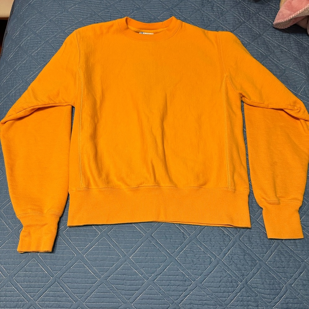 mens champion sweatshirt